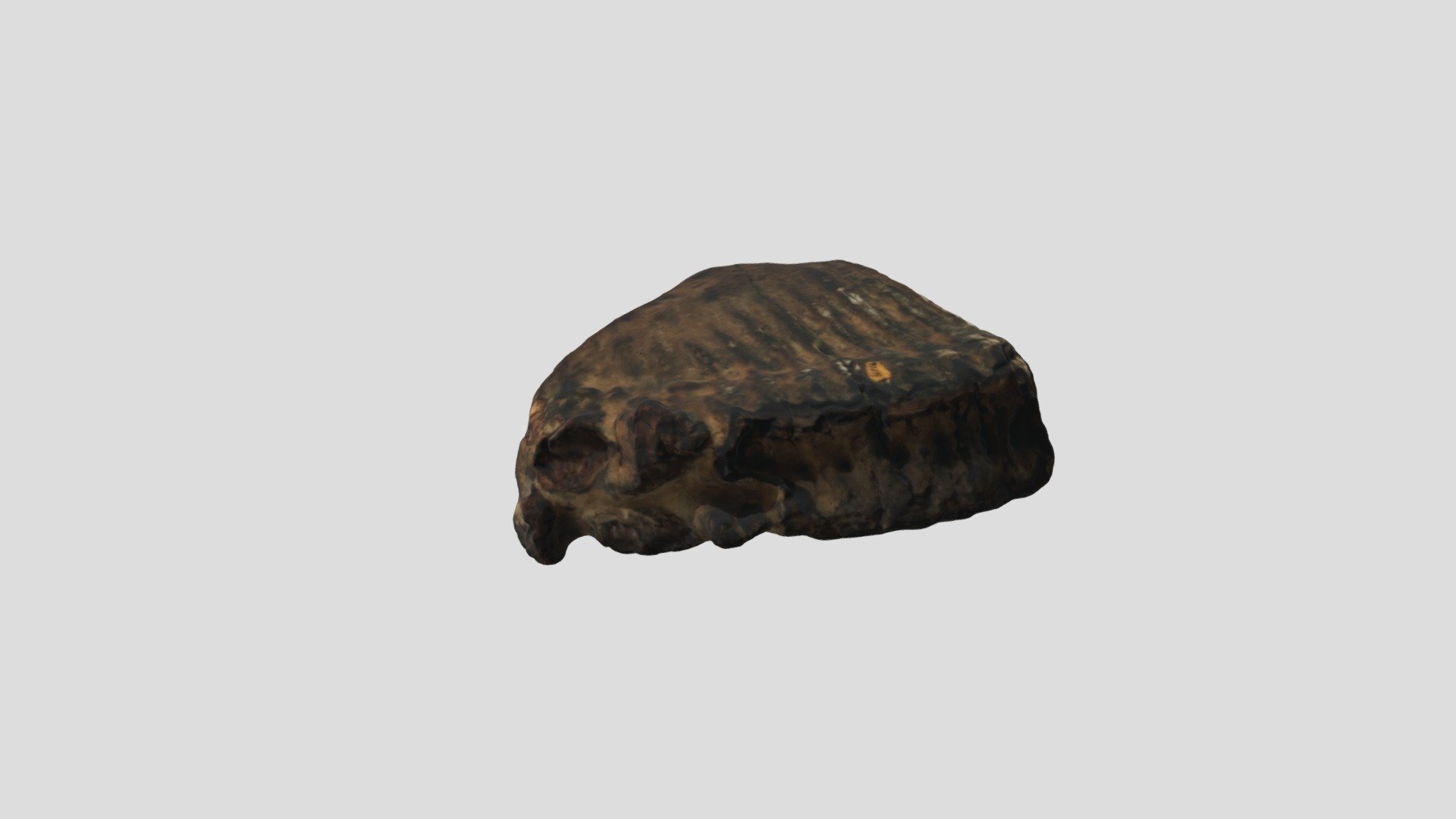 Specimen 97-2-44