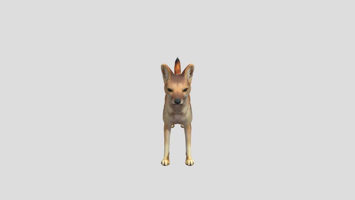 Hoary Fox – Modello 3D gratuito STL