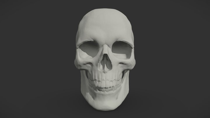 Skull STL (Ready to print) 💀 3D Model
