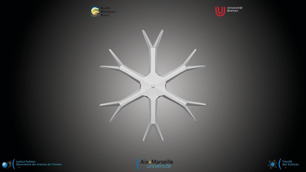 Nannofossile - Discoaster exilis