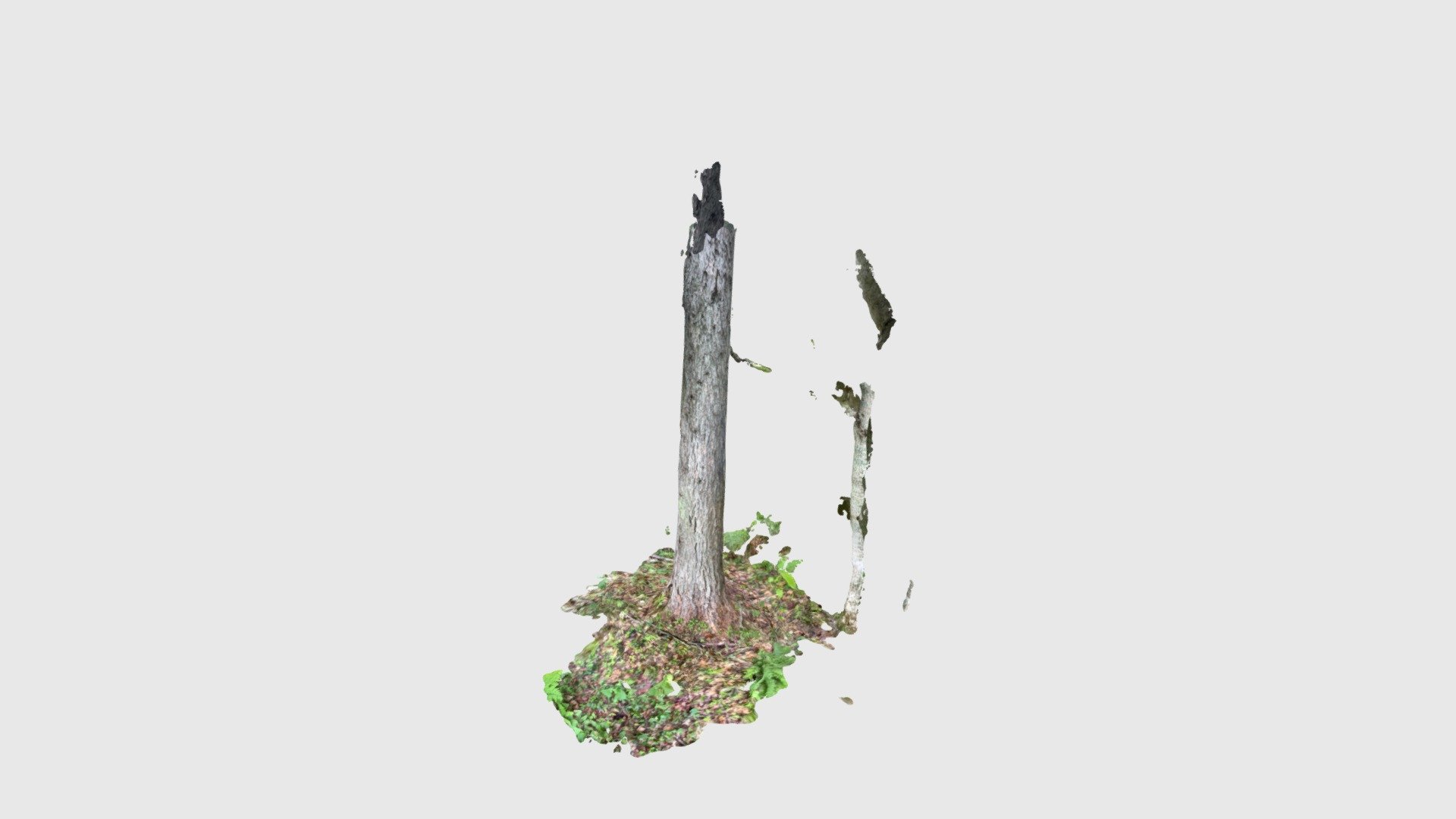 Test tree 1