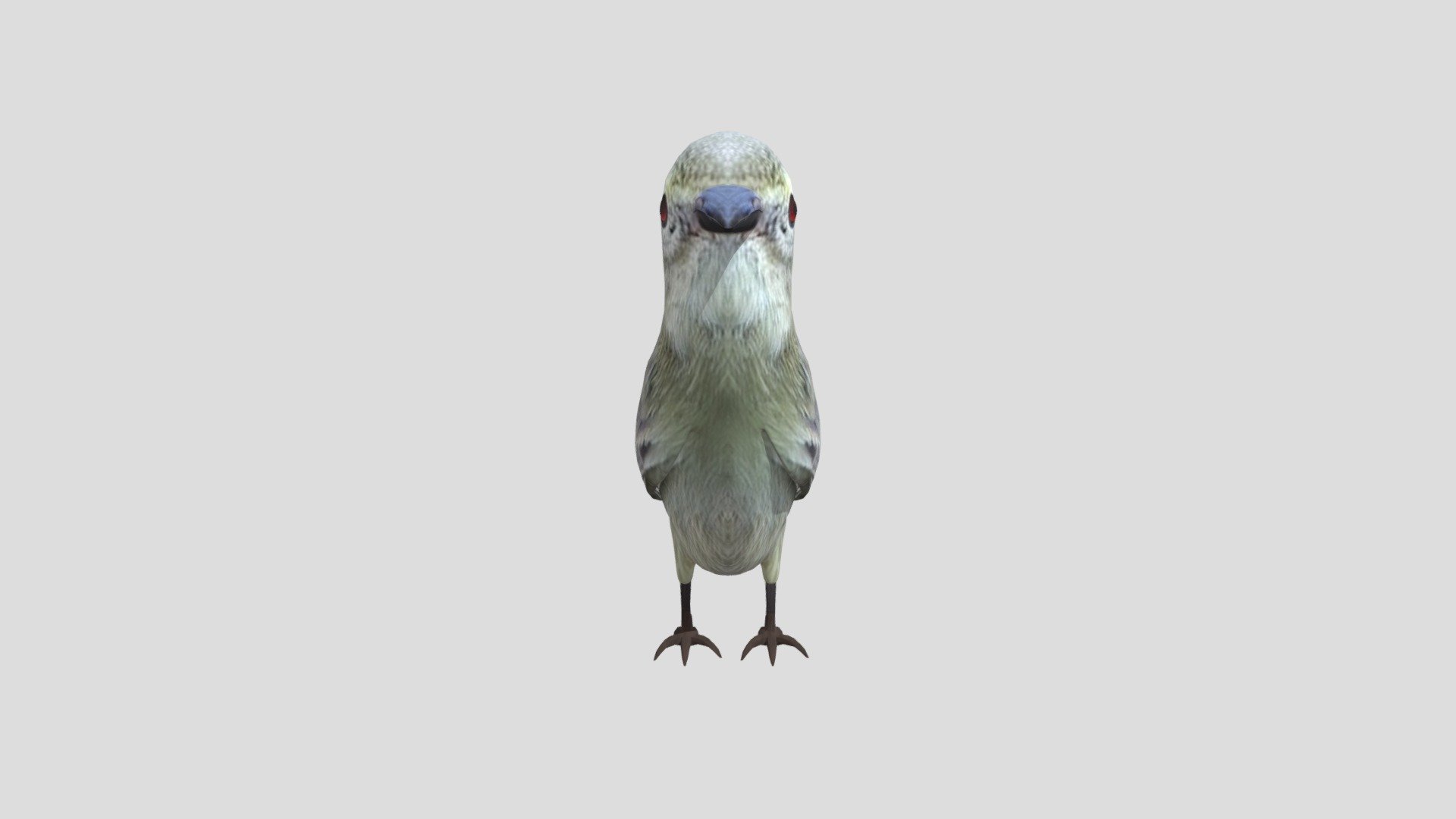 Pajaro4 V2