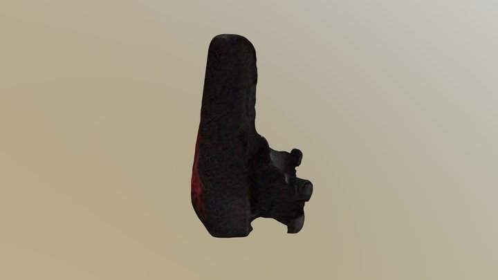 Backlight 3D Model