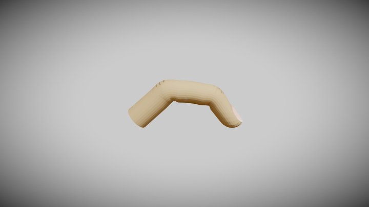 Finger Model 3D Model