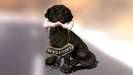 Big Friendly Dog Scan 3D Model