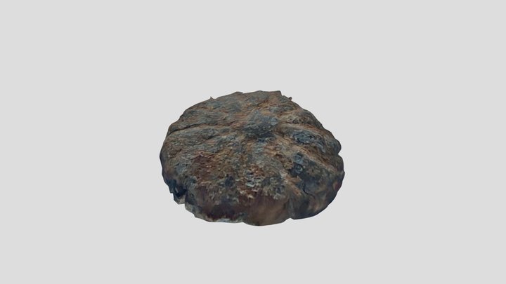 Wmid-58153a - Post Medieval button 3D Model