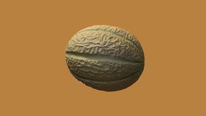 Melon Instant Meshes 3D Model