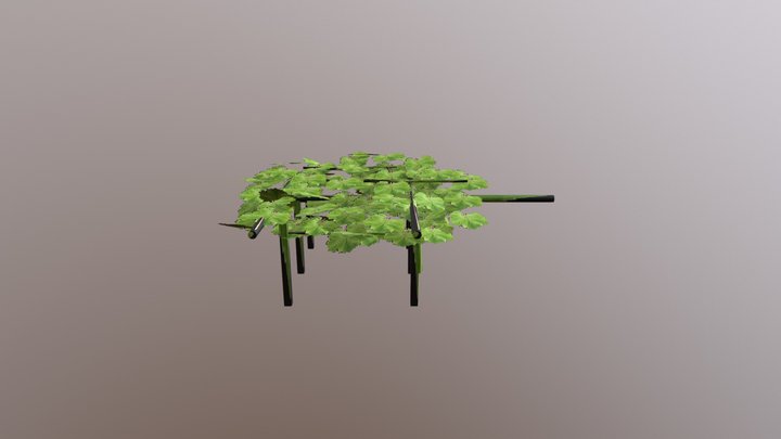 Grapes Tree 3D Model