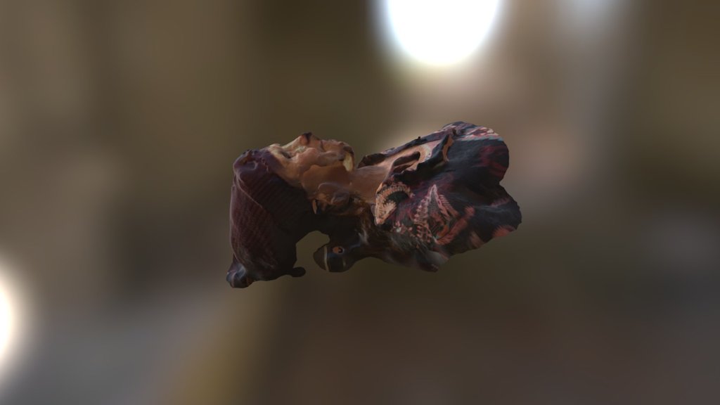 Test1