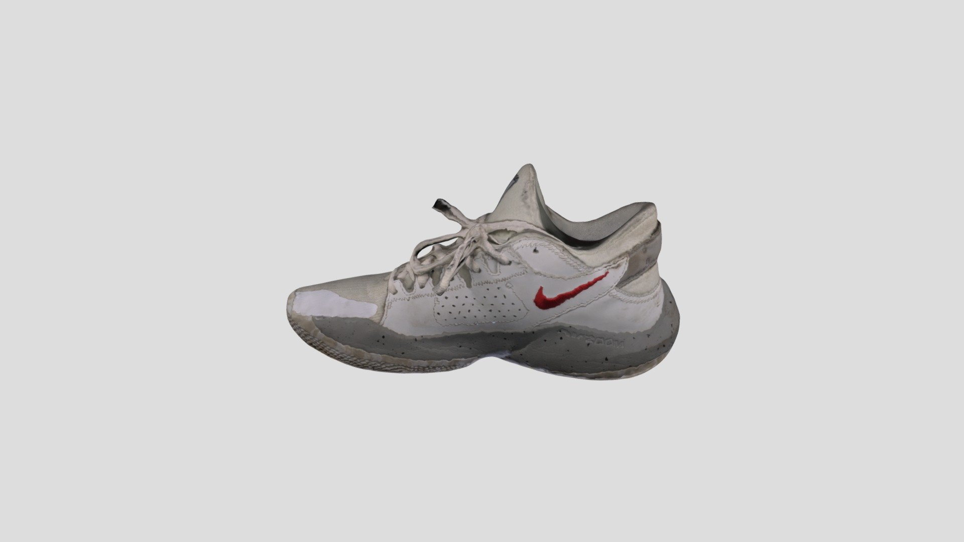 METASHAPE SHOE PROCESSED
