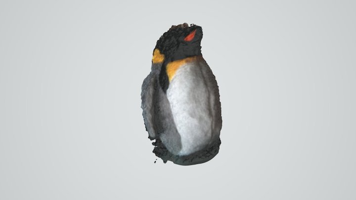 Pingwiniszcze 3D Model