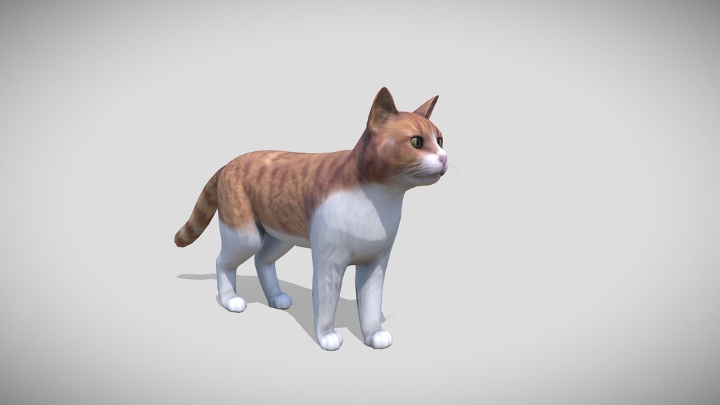 3d modelling my cat: Fripouille