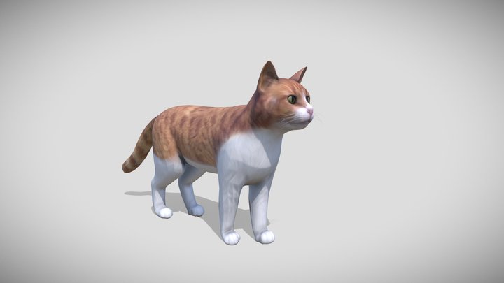 3d modelling my cat: Fripouille 3D Model