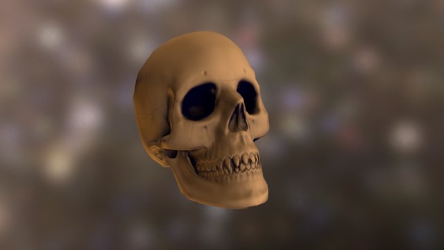 Low poly vampire skull 3D Model