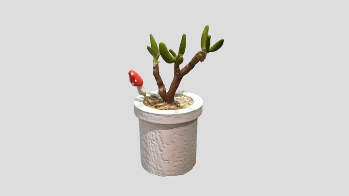 Little Plant 3D Model