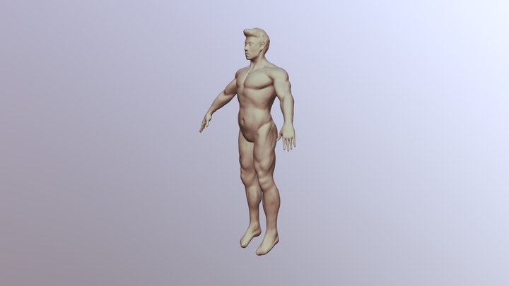 Corpo Estudo1 3D Model