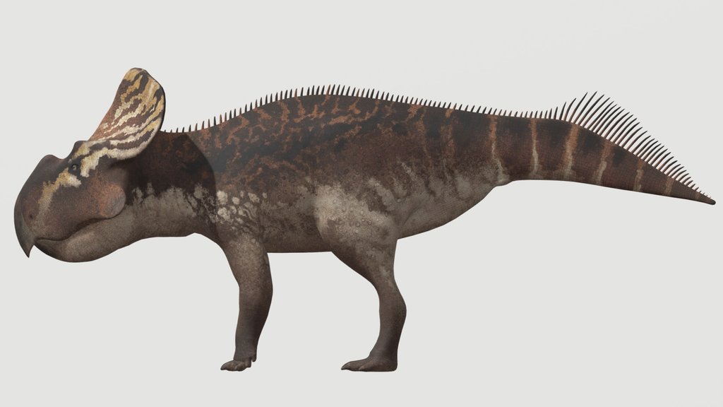 Accurate Protoceratops