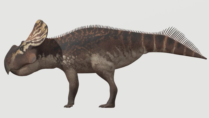 Accurate Protoceratops – Free 3D Model STL