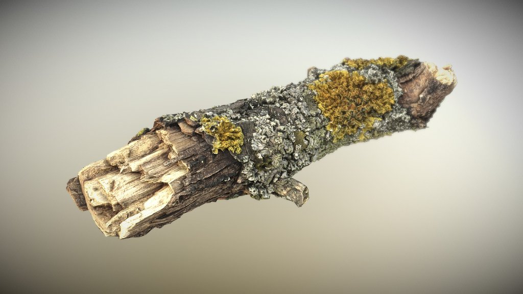 Wood Stick 02