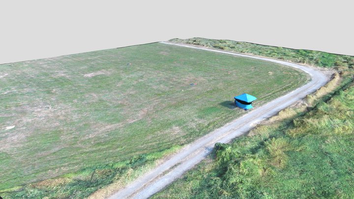 carnation grass field, WA 2017 3D Model
