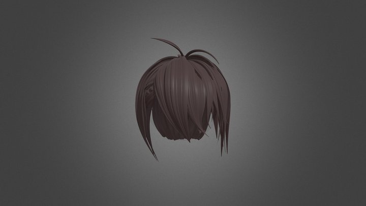 Shorthair 3D Model