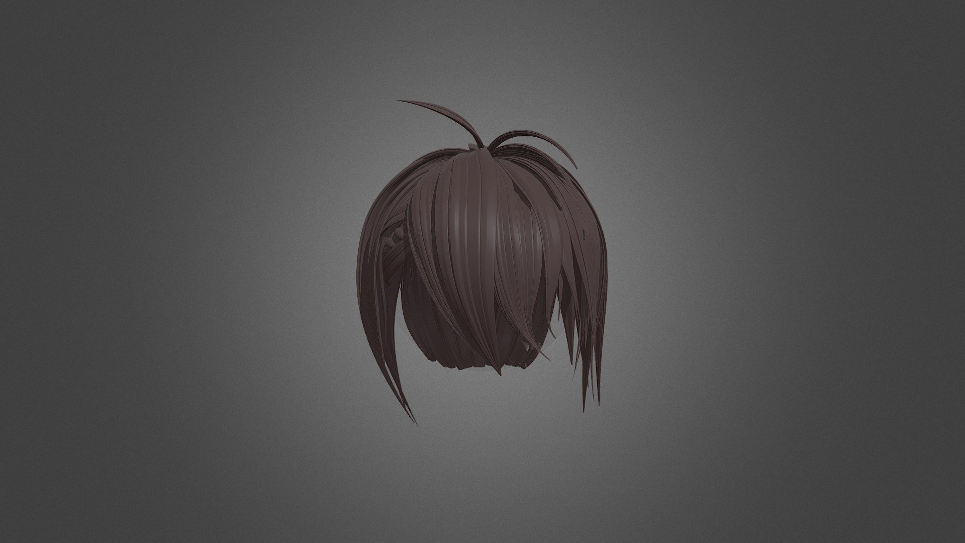 Shorthair