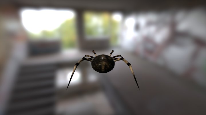 Parasteatoda Tepidariorum 3D Model