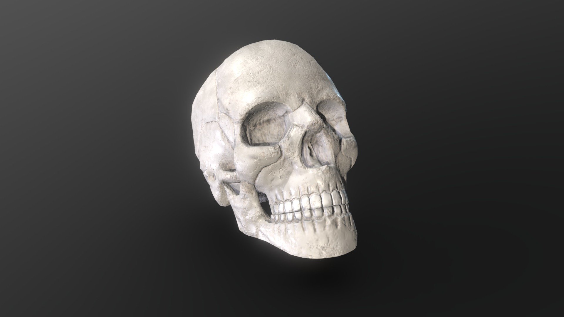 Skull