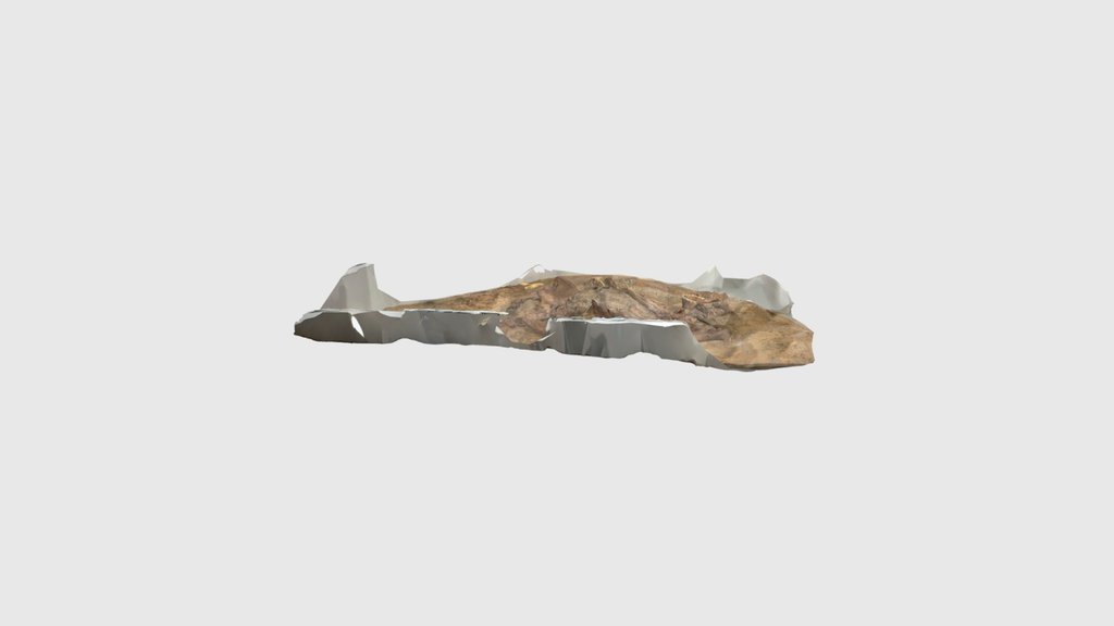A Neandertal Burial: The Young Man from Kebara …