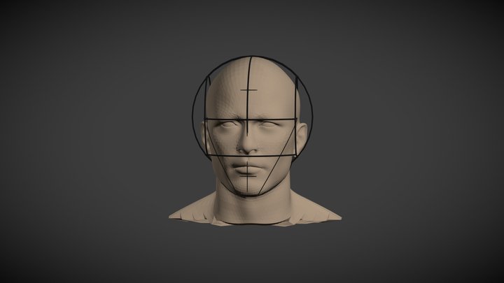 Face 5_1 3D Model