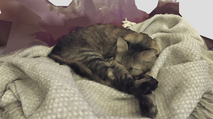 Flussa001_test01