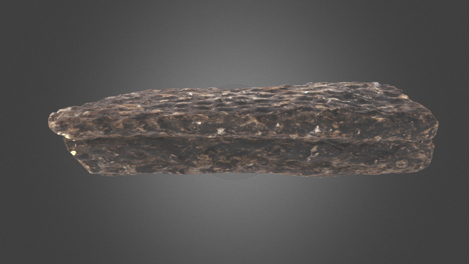 Petrified wood log
