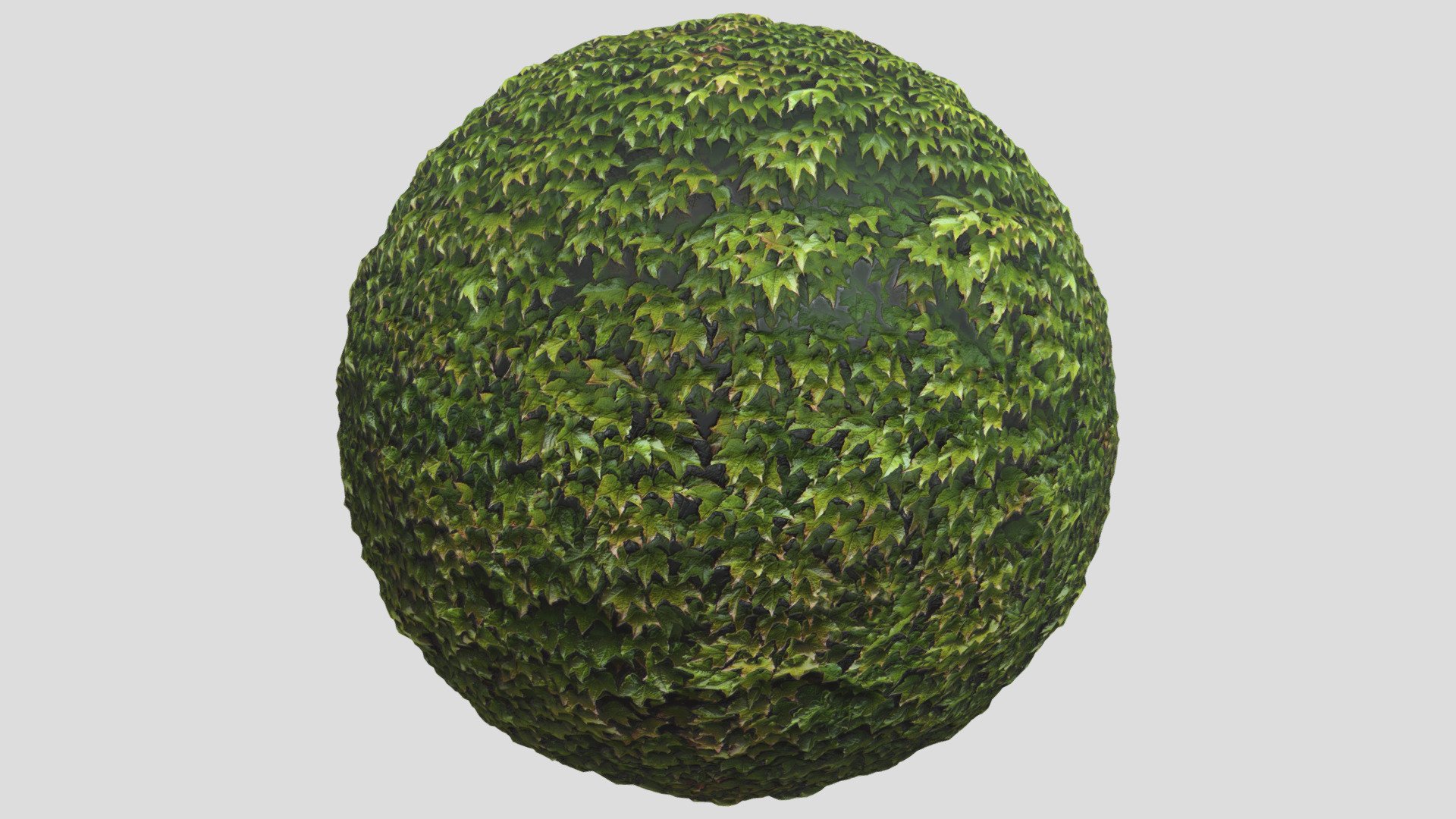leaves03