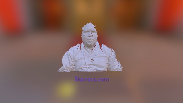 New Skanect Model 3D Model