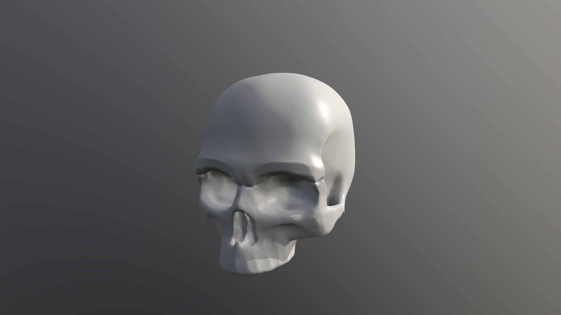 Skull Anatomy [WIP] - 3D model by bigdeku [0ac05f8] - Sketchfab