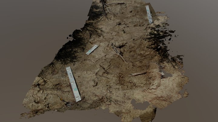 Mt Lukens Soil Trapping After Dig 3D Model