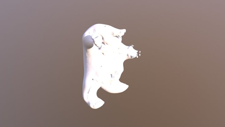 1 3D Model
