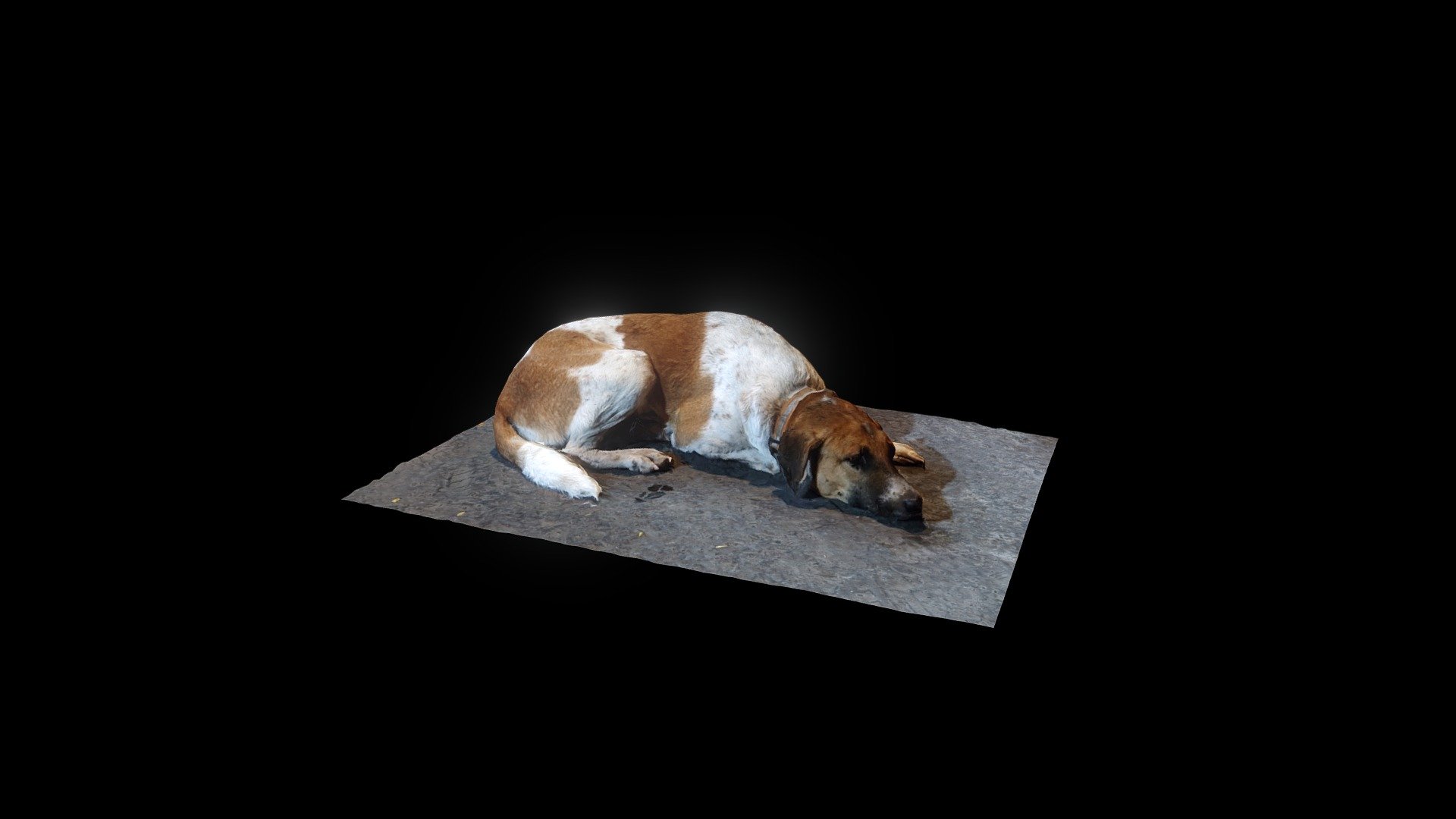 GoodBoy