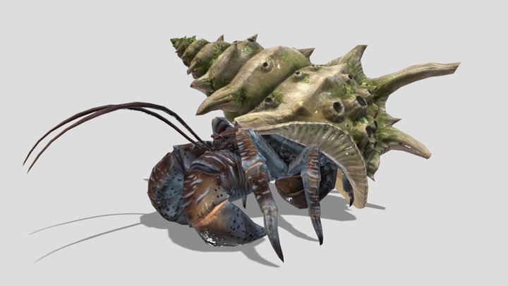 Hermit Crab – Stylized Animated 3D Model – Modello 3D gratuito STL