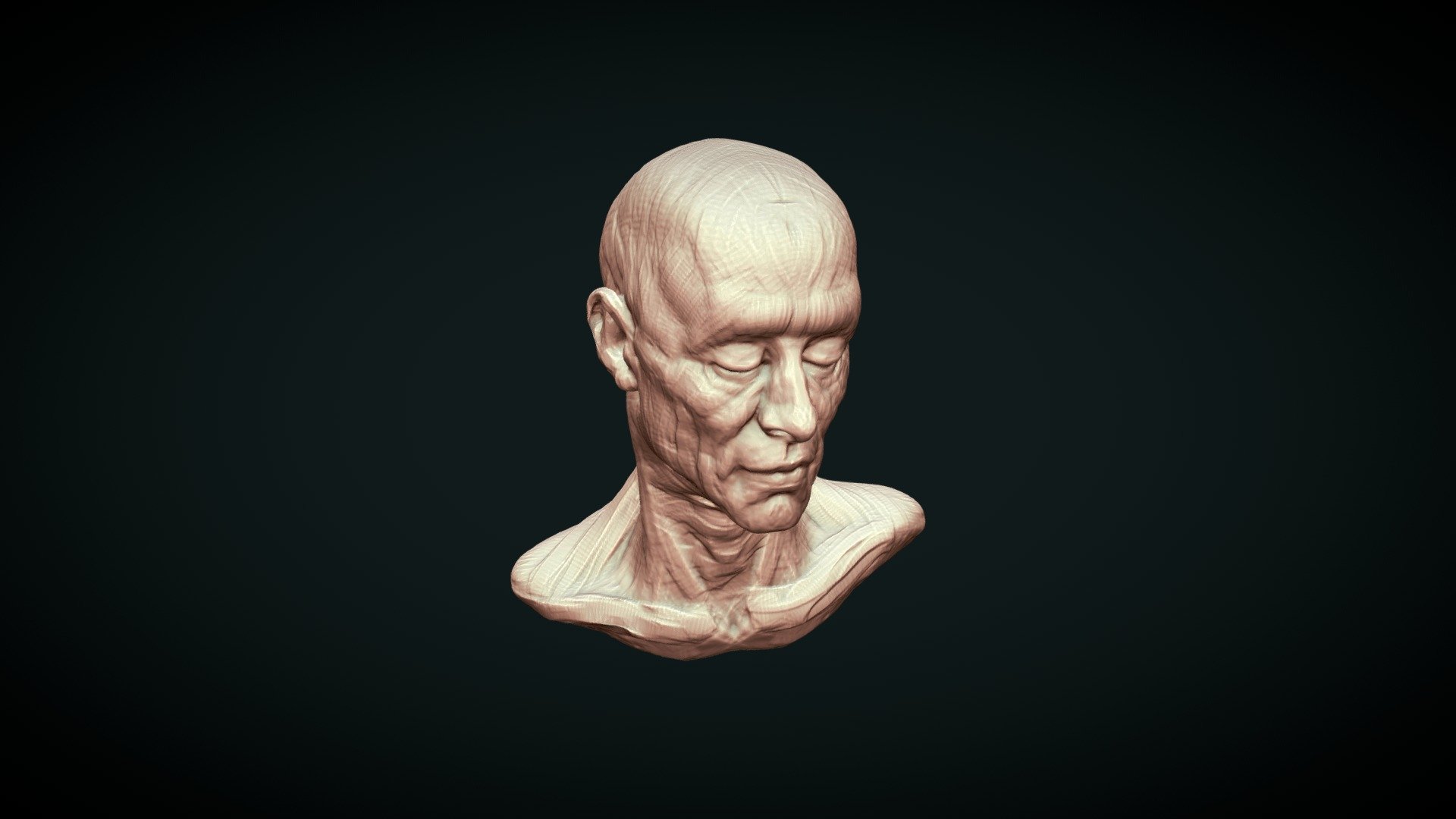 BUST SKETCK