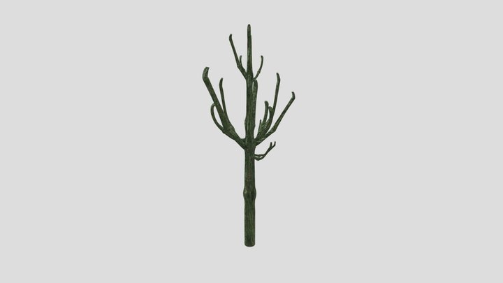 Claret Asset Mossy Tree 3D Model