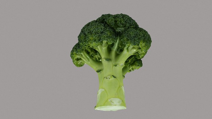 Broccoli (3d Scan) 3D Model