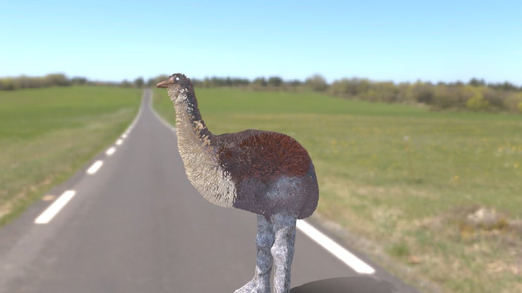 Elephant Bird