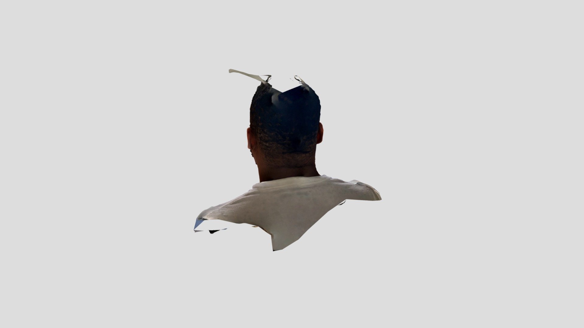 Polycam capture