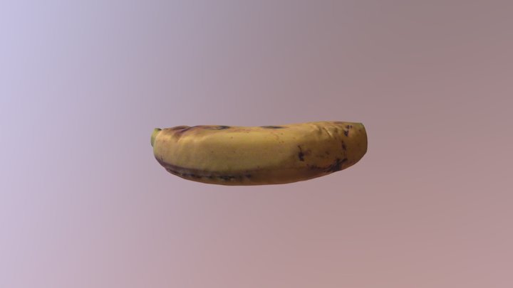 Comma 3D models - Sketchfab