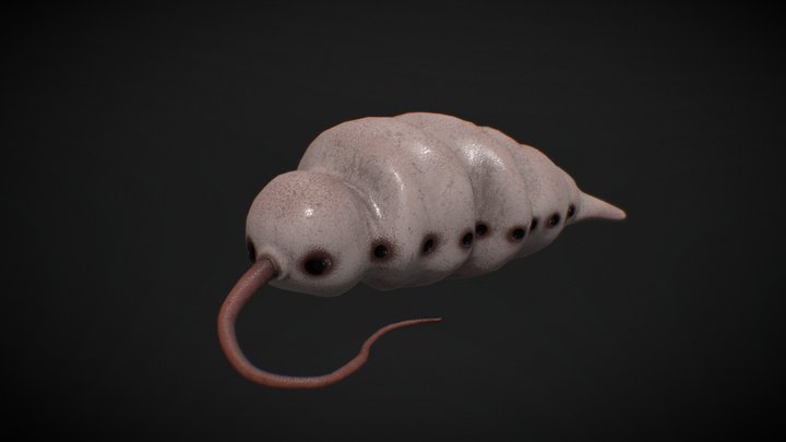 Larvae 3D Model