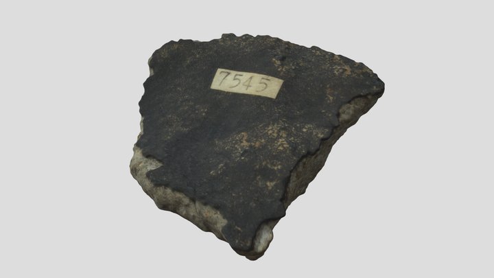 Condrite 3D Model