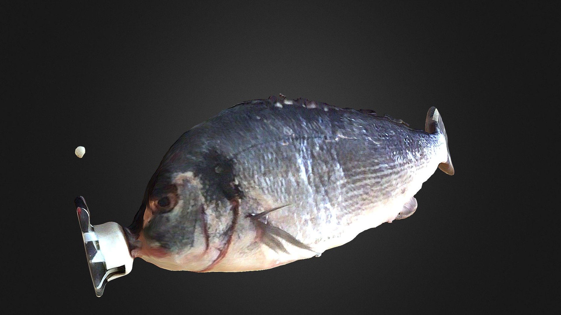 Sea Bass