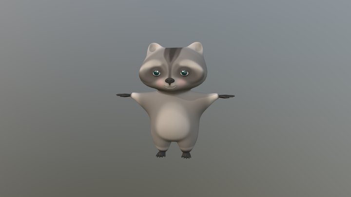 raccoon 3D Model