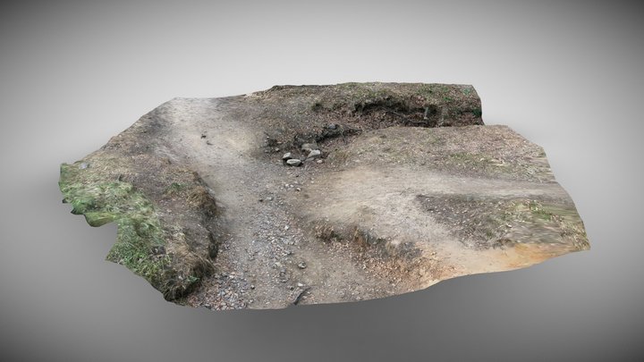 Paths crossing in the forest - Le Racou 3D Model